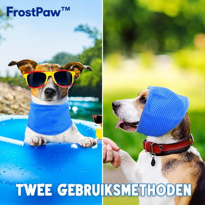 FrostPaw™ Verkoelende Halsband & Koelsjaal voor Honden en Katten