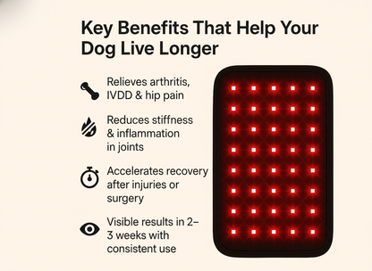 Luma Pet Red Light Mat