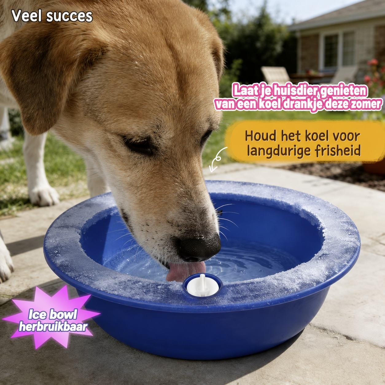 KoelPaws™ Ice Bowl | Herbruikbare Verkoelende Drinkbak voor Honden
